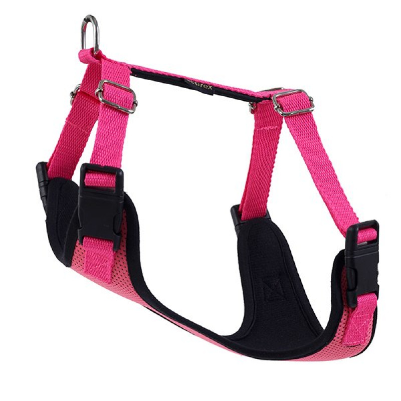 Actirex 30x35 Cm Neon Cool Göğüs Tasması Pembe XS