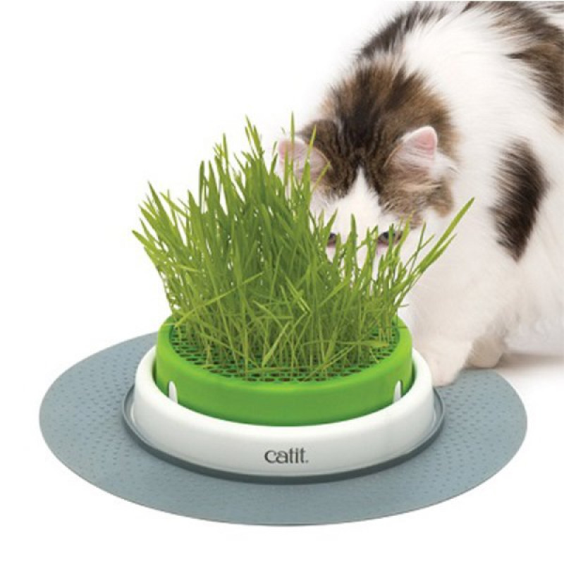 Catıt Senses 2.0 Grass Planter Kedi Çim Seti