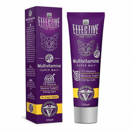 Delibon 100 Gr Effective Malt Katkılı Multivitamin Macun