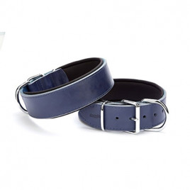 6x55-65 Cm Çift Kat Deri Extra Güçlü Boyun Tasma Royalblue