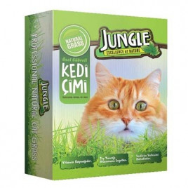 Kedi Çimi Kutulu Fileli
