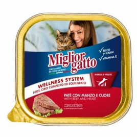 Gatto 100 Gr Bitek Ve Yürekli Yetişkin