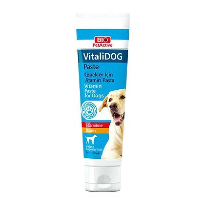 Pet Active 100 Ml Vitalidog Paste Yetişkin Köpekler İçin Vitamin Macun