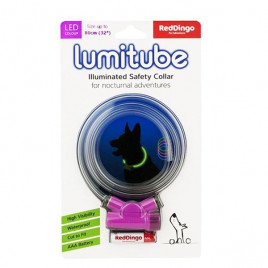 Red Dingo 50 Cm Lumitube Mor Işıklı S-M