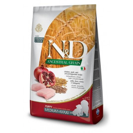 N&D Ancestral Grain 12 Kg Puppy Medium Maxi Tavuk ve Nar