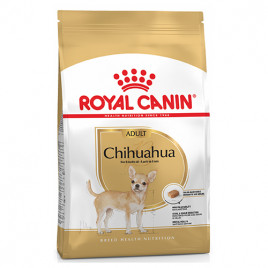 1,5 Kg Chihuahua Adult 