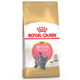 Royal Canin 2 Kg Kitten British Shorthair Yavru 
