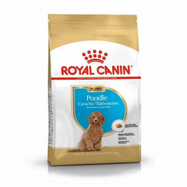 Royal Canin 3 Kg Poodle Puppy
