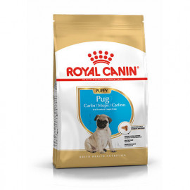 Royal Canin 1,5 Kg Pug Puppy 