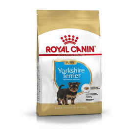 1,5 Kg Yorkshire Terrier Puppy 