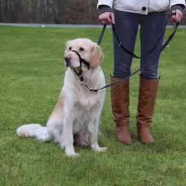 Trixie XL-Kısa Uzman Köpek Eğitim Tasması 40 Cm